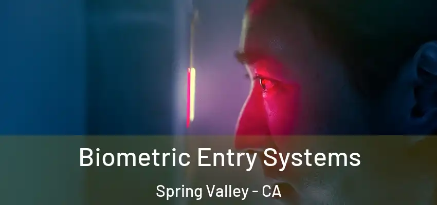  Biometric Entry Systems Spring Valley - CA