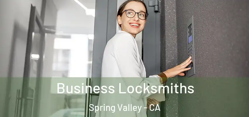 Business Locksmiths Spring Valley - CA