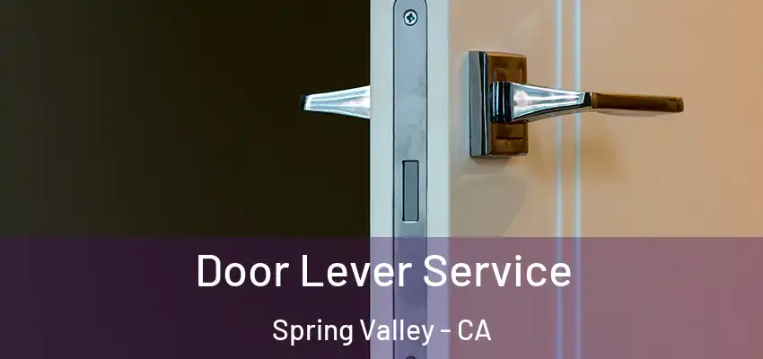 Door Lever Service Spring Valley - CA