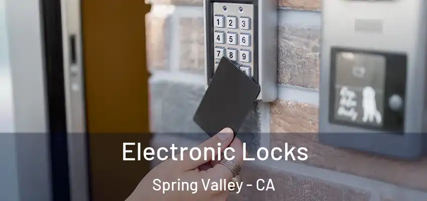 Electronic Locks Spring Valley - CA