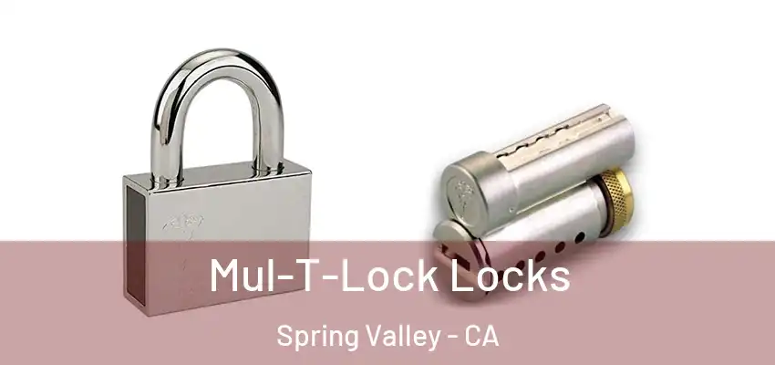  Mul-T-Lock Locks Spring Valley - CA