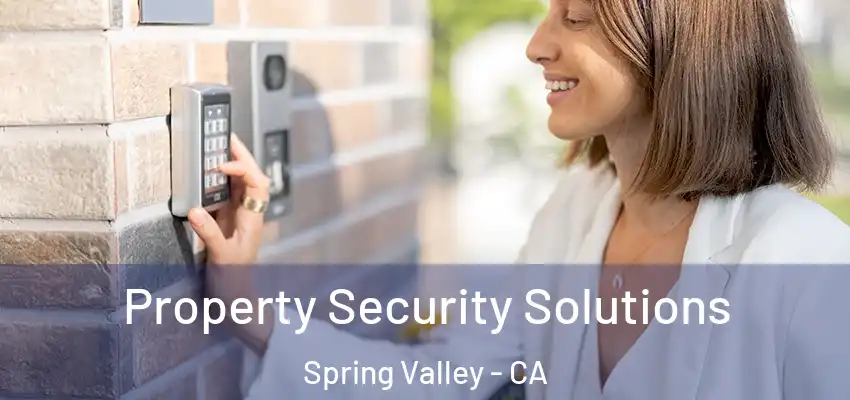  Property Security Solutions Spring Valley - CA