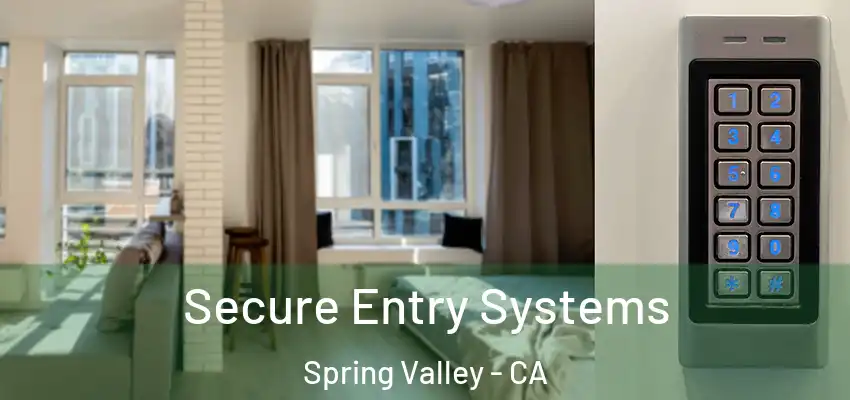 Secure Entry Systems Spring Valley - CA